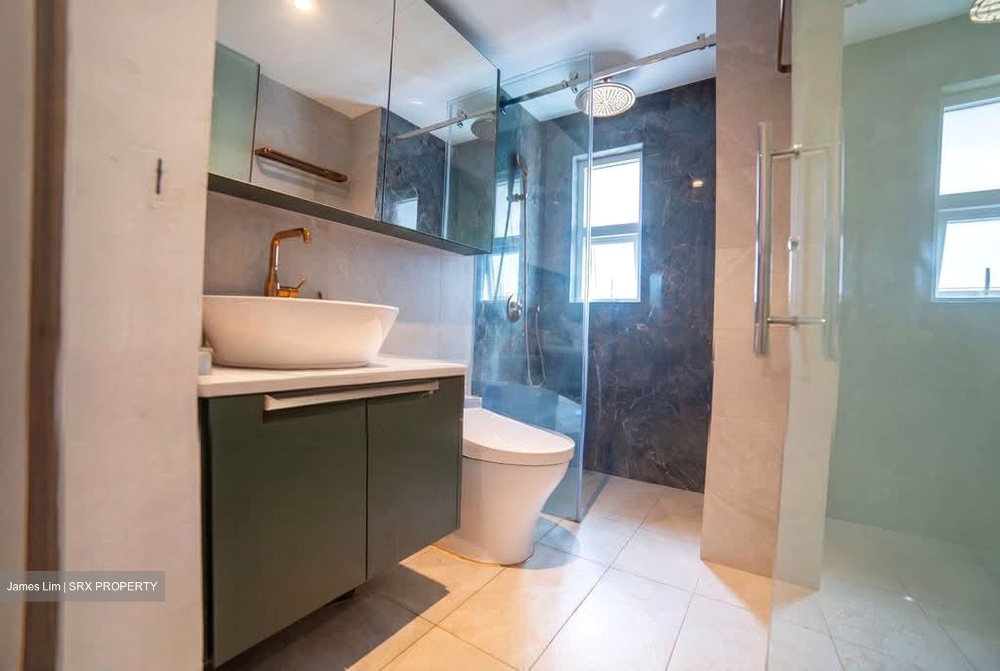 Palm Galleria (D15), Apartment #568290941